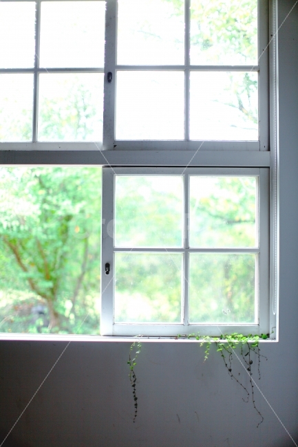 감성,창문,빛,감성사진,window,아미미술관,초록,감성,sensible,feeling,휴식,힐링,rest,relaxation,healing