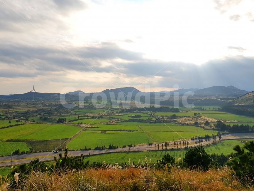 제주,jeju,제주도,jejudo,여행,풍경,landscape,오름,갈대,억새,용눈이오름,가을,계절,fall,autumn,season,자연,풍경,nature,landscape,한국자연풍경,한국자연경관,korea nature landscape,제주도,jeju,jeju island,outdoors,옥외,scenery,경치