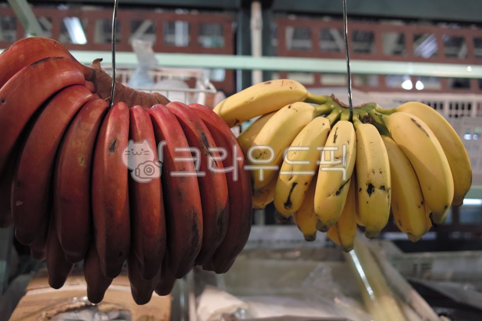 빨강바나나,굵은바나나,과일상점,빨간바나나,redbanana