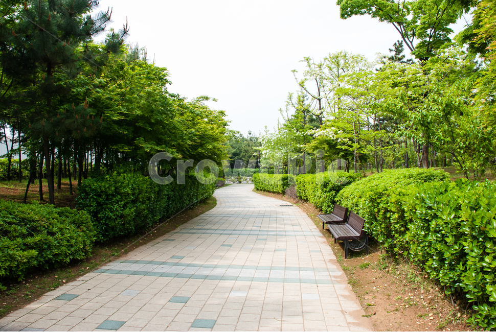 공원,나무,소나무,정원,숲,숲속,풀잎,잎,초록,자연,야외,파크,식물,조경,나뭇잎,맑은,힐링,휴식,캠핑,경치,풍경,봄,가을,환경,녹색,한적한,조용한,배경,산책,산책길,단풍나무,녹지공원,벤치,자연,풍경,nature,landscape,flagstone,판석,bench,outdoors,옥외,garden,arbour,정자,path,통로