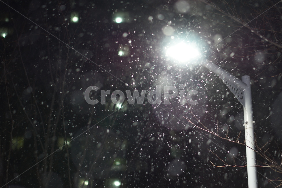 눈,야경,보케,밤,겨울,풍경,겨울,계절,winter,season,야경,밤,풍경,nightscape,night,landscape,flare,플레어,light,빛