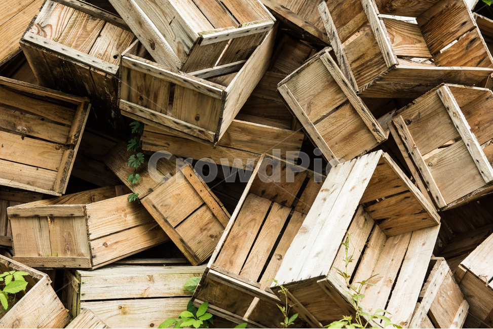 chest,old,tree,mold,To stack up,apple box,desolate,background,complicated,wooden box,quiet,abandoned,fruit box