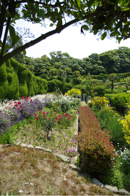 정원,나무,꽃,flower,식물,plant,자연,풍경,nature,landscape,outdoors,옥외,garden,arbour,정자