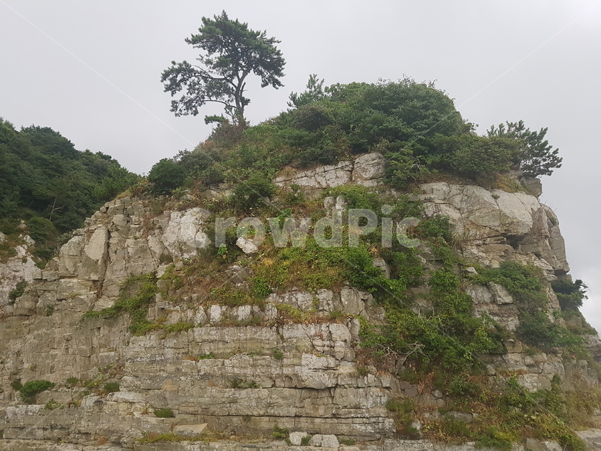 보타니아,외도,바다,보타니아섬,거제도,자연,풍경,nature,landscape,한국자연풍경,한국자연경관,korea nature landscape,outdoors,옥외,cliff,낭떠러지,grassland,목초지,field,들