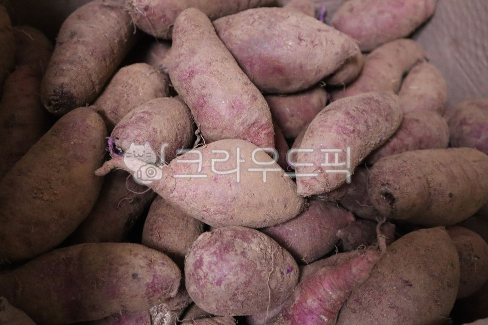 Sweet potato,ingredient,cooking ingredient,harvest,carbohydrate,agriculture,appetizer,cuisine,vegetarian,root,sweet potato,food,fresh,crop,carbohydrate,agriculture,root