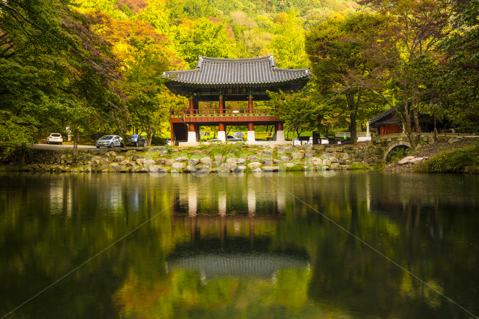 자연,풍경,누각,물,호수,연못,도솔천,쌍계루,반영,산,백암산,아침,일출,빛,햇빛,가을,단풍,절,백양사,건물,building,architecture,건축물,temple,신전,outdoors,옥외,nature,자연,풍경,nature,landscape,한국자연풍경,한국자연경관,korea nature landscape