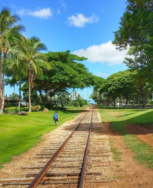 인간,사람,human,교통,기찻길,transportation,traintrack,railway,철도,rail,레일,grass,잔디,plant,식물,하와이,hawaii,자연,풍경,nature,landscape