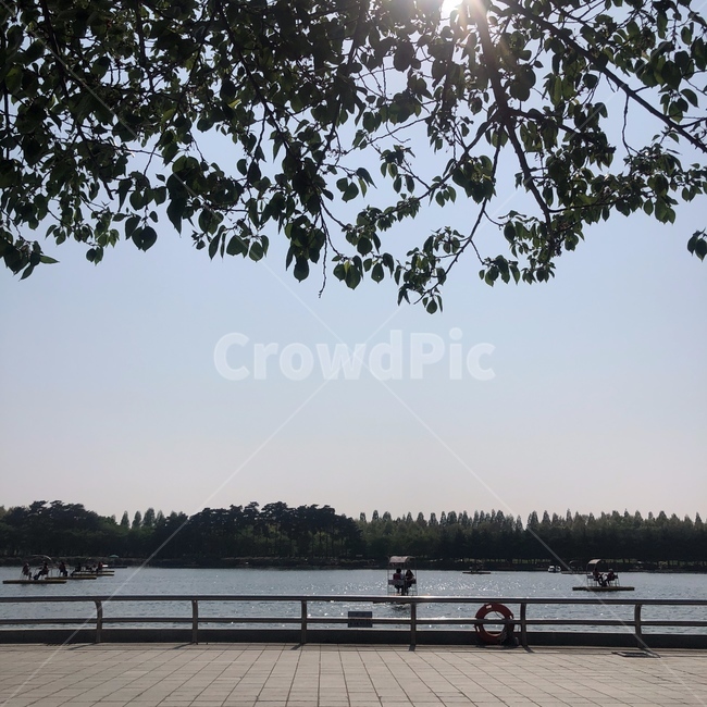 공원,호수,하늘,나무,일산,호수공원,낮,여유로움,park,lake,sky,tree,ilsan,lakepark,day,relaxation