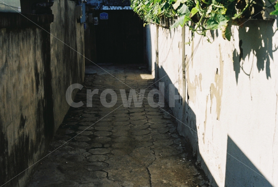 옛날,동네,대전,집,주택,대동,그림자,필름,필카,감성,도시,풍경,city,landscape,골목길,alley,감성,sensible,feeling,walkway,보도,path,통로