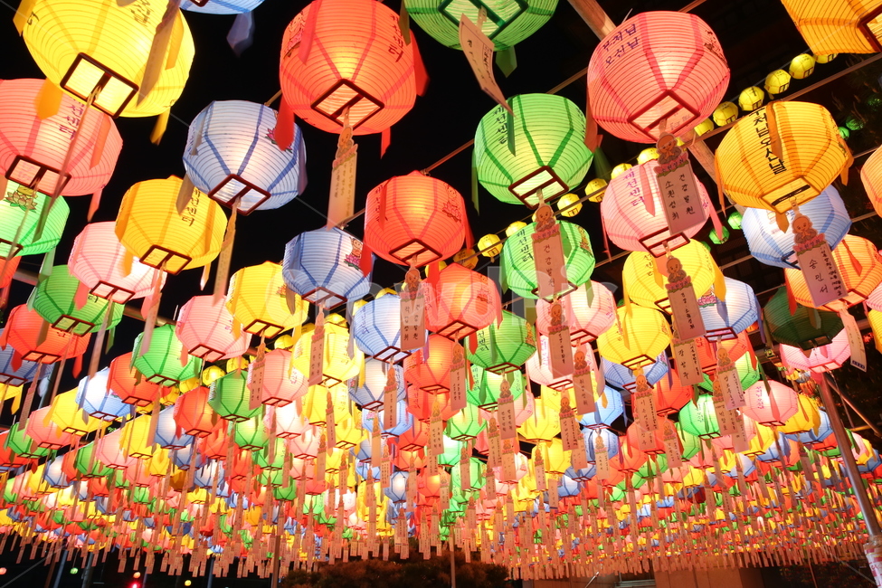연등,사찰,문화유산,한국전통,한국문화,종교,신앙,믿음,faith,koreantraditional,koreanculture,석가탄신일,부처님오신날,야경,밤,풍경,nightscape,night,landscape,한국전통,한국문화,korean traditional,korean culture,종교,신앙,religion,belief,faith,축제,행사,festival,carnival,event,기념일,축하,anniversary,congratulation,celebrate,celebration