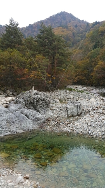 slate,슬레이트,설악산,단풍구경,가을풍경,가을,산,자연,물,계곡,자갈,나무,단풍,맑은물