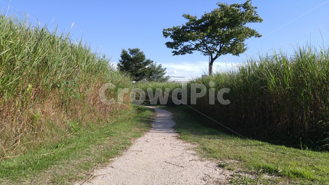 풍경,자연,오솔길,가을,길,자연,풍경,nature,landscape,gravel,자갈,road,도로,dirt road,흙길