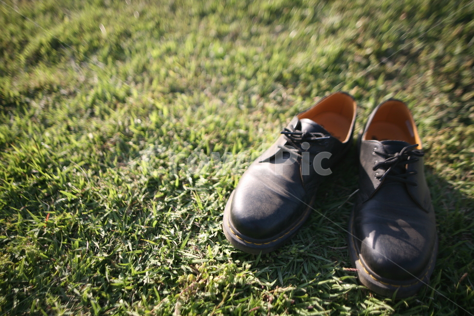 잔디,신발,clothing,의류,apparel,의복,shoe,구두,신발류,footwear,사물,물건,오브젝트,thing,object,matter