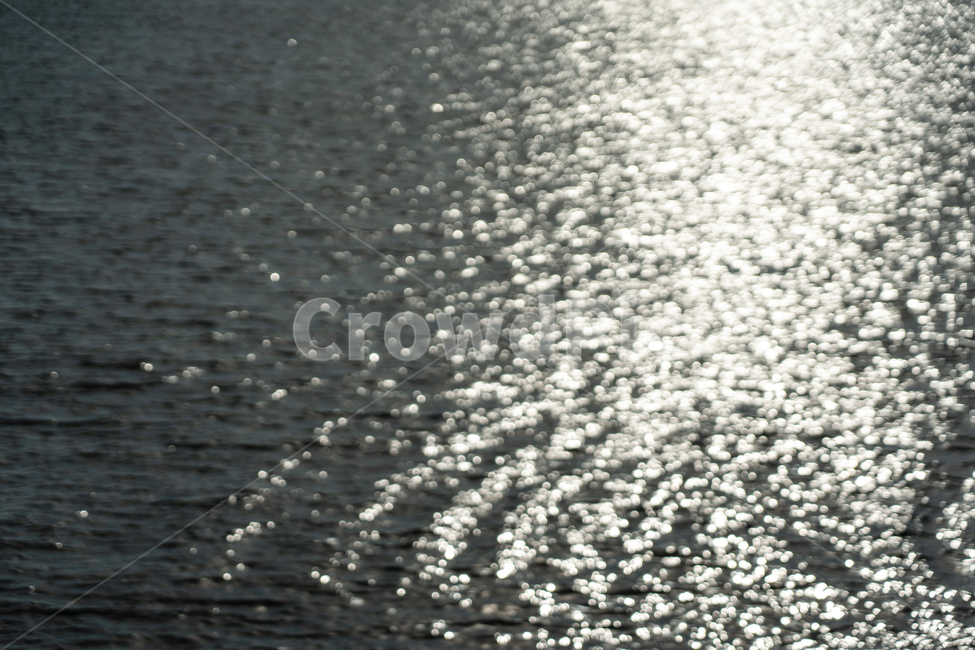 sea,wave,빛,바다,물결