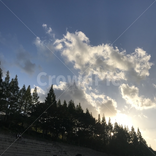 하늘,구름,노을,따뜻함,산,나무,tree,cloud,sky,skyblue,warm,sunset,mountain,자연,풍경,nature,landscape,fir,전나무,plant,식물