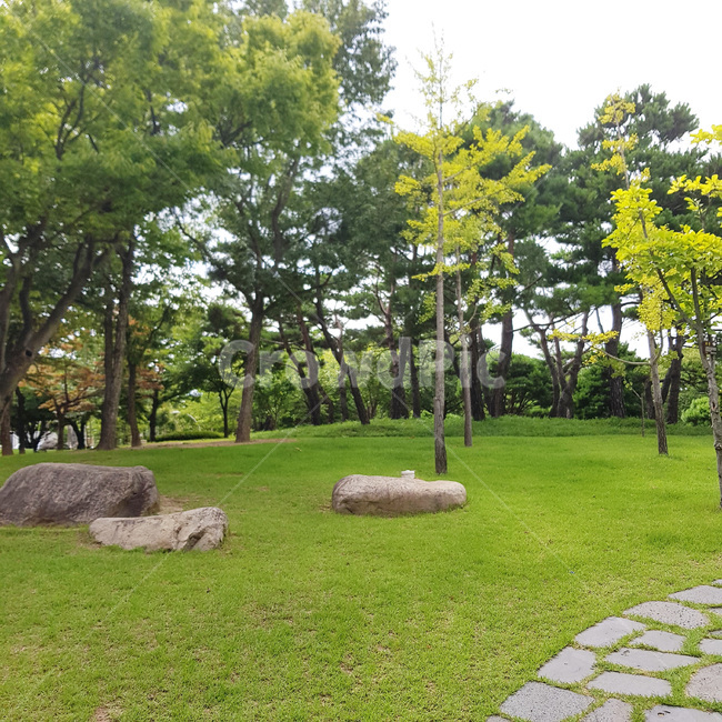 하늘,구름,숲,잔디,돌