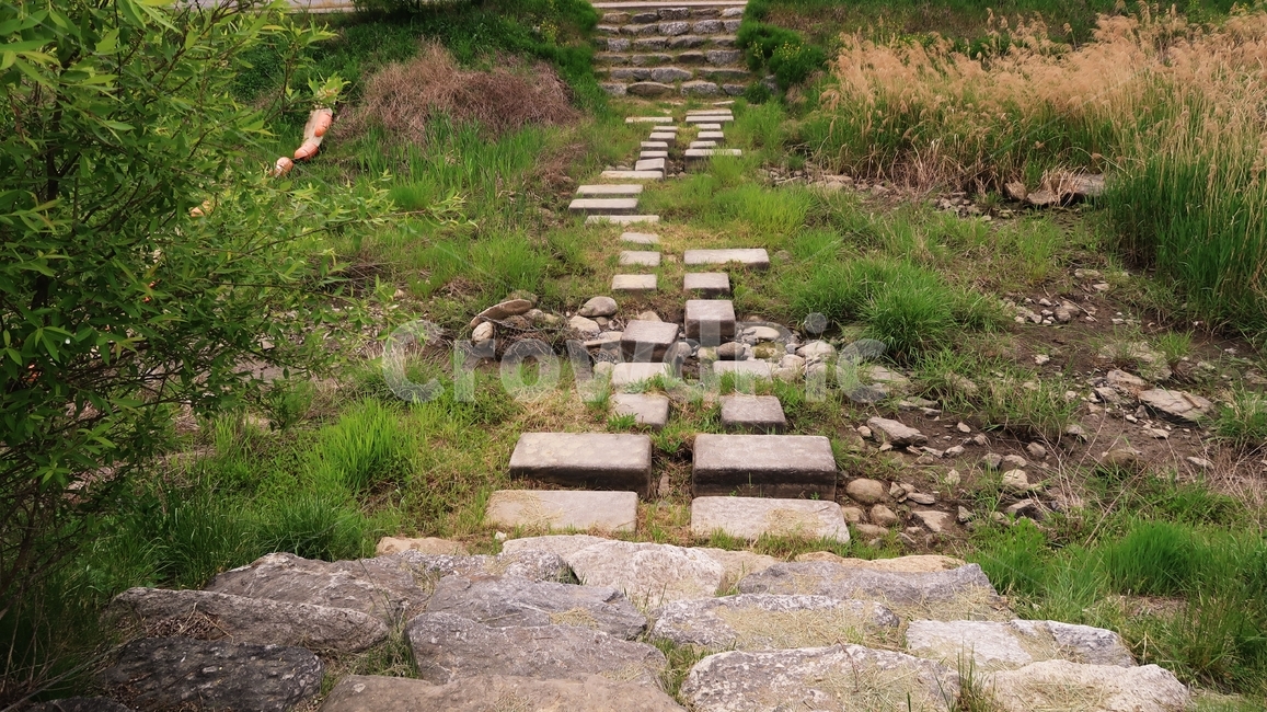 징검다리,다리,돌,steppingstone,green,stone,outdoor,tree,path,step,grass,stones,way,stepping,plants,돌다리,식물,그린,초록,나무,하천,시골,풀