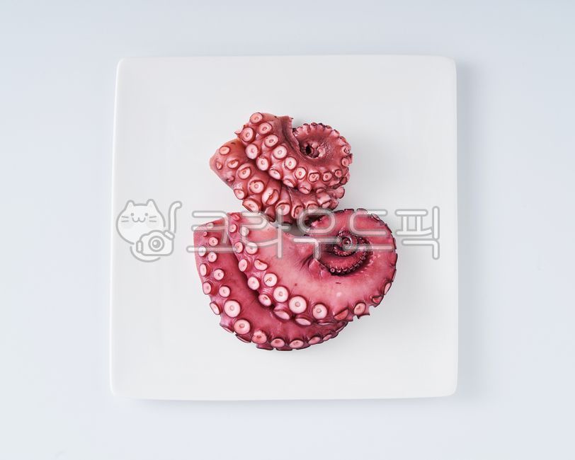 데친문어,삶은문어,돌문어,문어,문어회,피문어,음식,식재료,요리,food,cook,meal,dishes,food reserves