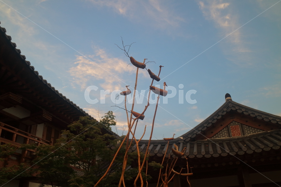 수원,화성행궁,자연,하늘,여름,전통,행궁동,새,한국전통,한국문화,korean traditional,korean culture,건축물,건물외관,exterior,building,structure,architecture,construction