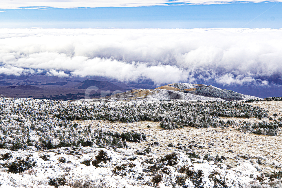 풍경,제주,자연,배경,한라산,상고대,설경,겨울,계절,winter,season,자연,풍경,nature,landscape