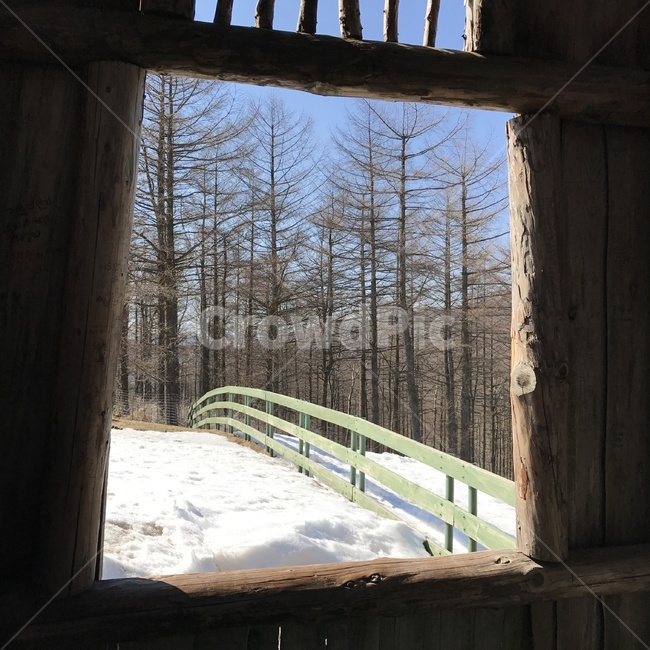 강원도,평창,대관령,풍경,겨울,눈,나무,겨울,계절,winter,season,자연,풍경,nature,landscape,handrail,난간,banister,railing