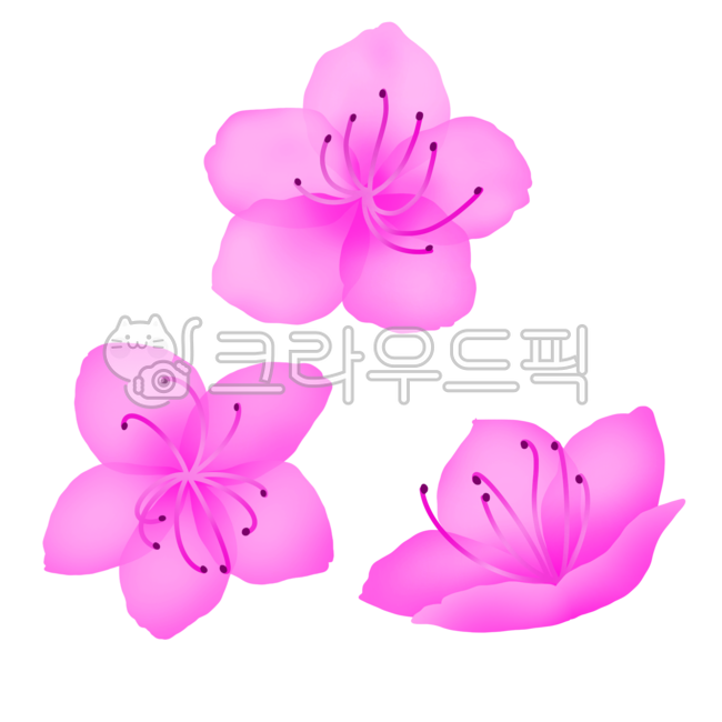진달래,진달래일러스트,참꽃,꽃일러스트,flower,꽃,blossom,plant,azalea