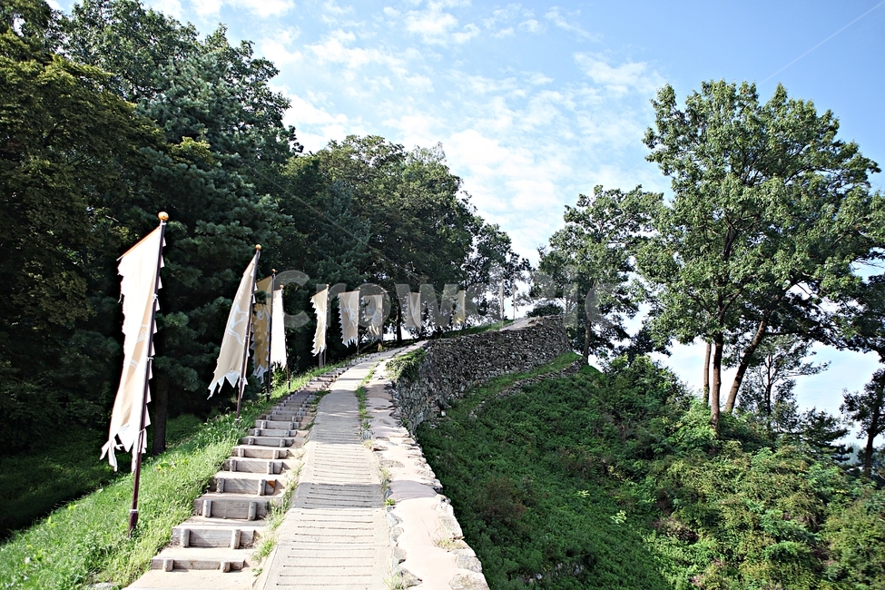 공주산성,성,산성,성곽,길,둘레길,숲,숲길,담,돌담,여름,풍경,벽,방어벽,흙담,식물,유네스코등제