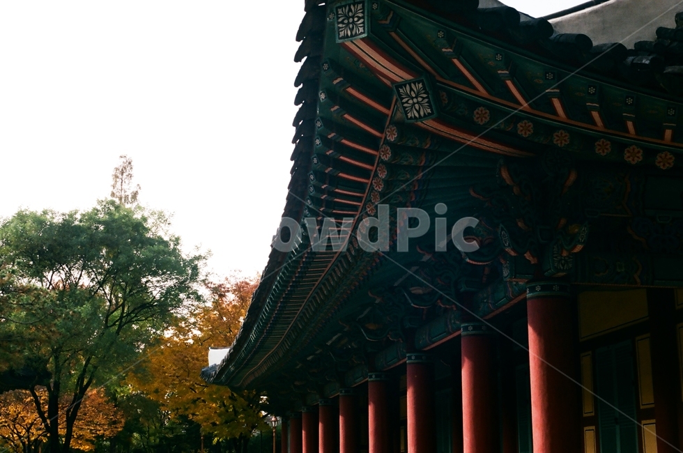 기와,한국,궁,한옥,공원,한국전통,한국문화,korean traditional,korean culture,건축물,건물외관,exterior,building,structure,architecture,construction