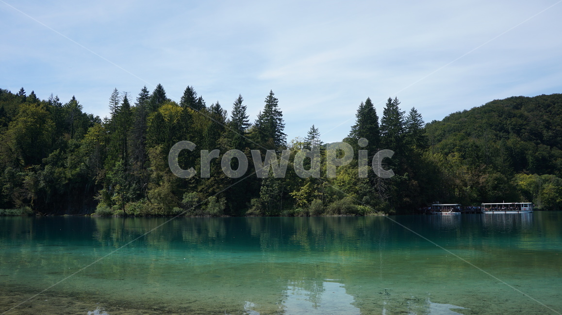 플리트비체,크로아티아,plitvicelakes,croatia,자연,동유럽,europe,landscape,world,foreign,해외,외국,세계,oversea,풍경,자연,풍경,nature,landscape,해외,외국,세계,foreign,oversea,world,세계자연풍경,해외자연풍경,외국자연풍경,world nature landscape,tree,나무,plant,식물,abies,아비,fir,전나무,water,물,outdoors,옥외