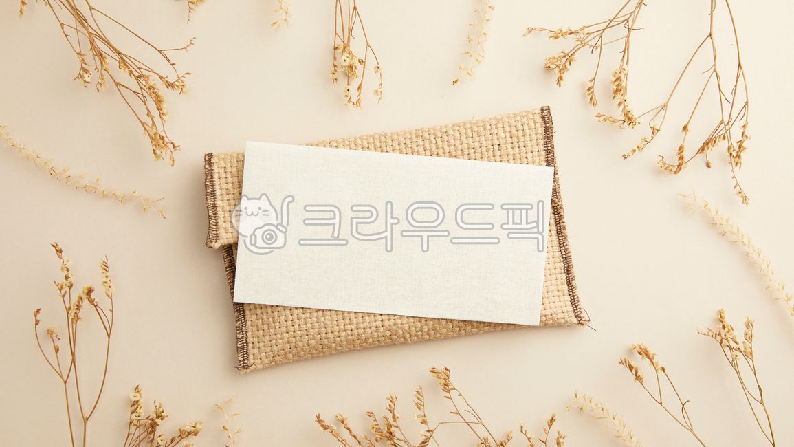 beauty,Botanical,branch,beautiful,pastel,white,botanical,copy space,season,florist,decoration,dried flowers,floral,natural,backdrop,Anniversary,dry,brown,thin,vintage,background,plant,style,autumn,golden yellow,house,interior,flower shop,minimal,modern,fa