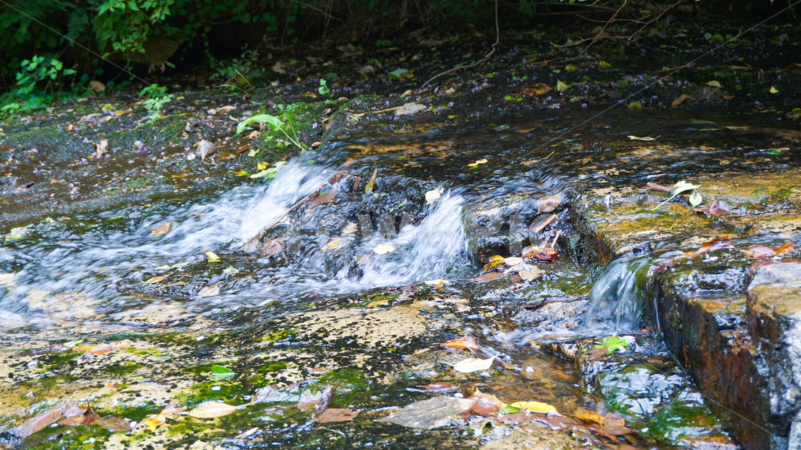 계곡,물놀이,여름,자연,산,물,valley,vacation,summer,nature,피서,자연,풍경,nature,landscape,water,outdoors,옥외