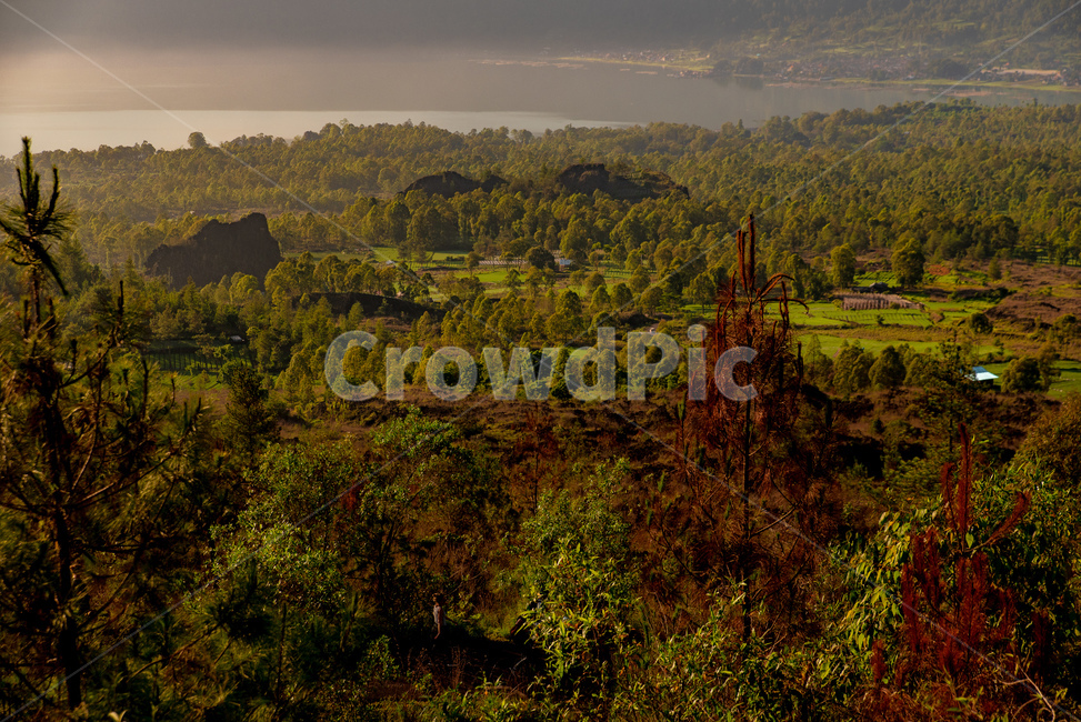 풍경,발리,바뚜르화산,아침햇살,안개
