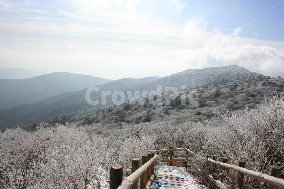 설산,등산로,자연,능선,길