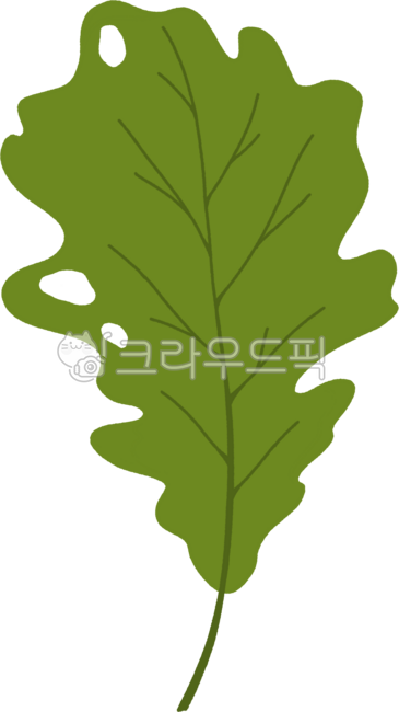 가을,낙엽,나뭇잎,녹색낙엽,구멍난낙엽,낙엽장식,낙옆일러스트,가을배경,심플한낙엽,나뭇잎그림,잎사귀,낙엽디자인,식물,낙엽잎,낙엽그림