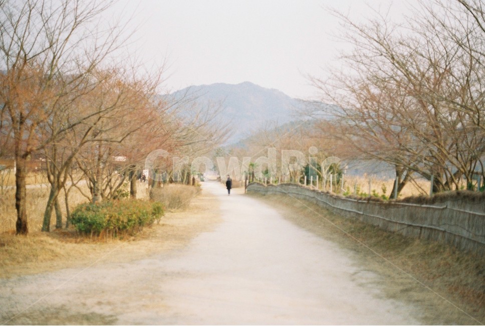 순천만습지,갈대밭,필름카메라,길,사람,겨울길,film,하늘,겨울,landscape,풍경,경관,흐린,흐린날씨
