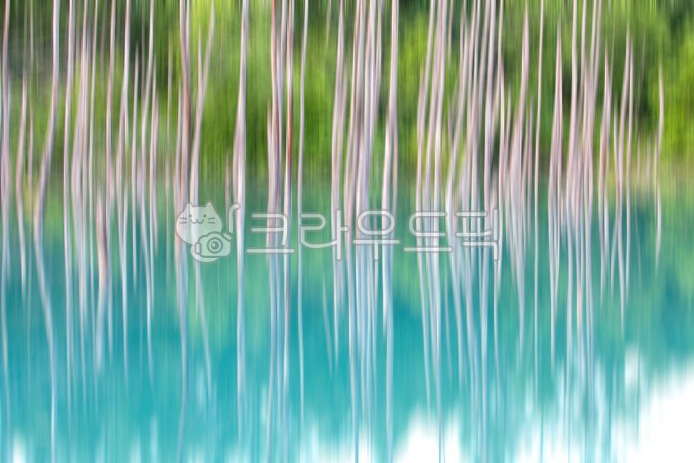 blue pond,pond,in the woods,forest,dead wood,reflection,nature,Hokkaido,hokkaido,Aoiike,blue,outdoors,mysterious,garden,lake,park