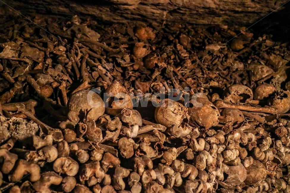 해골,카타콤,유적,지하묘지,유적지,묘지,skull,스컬,catacombs,파리,paris,공포,호러,무서운,무서움,horror,terror,fear