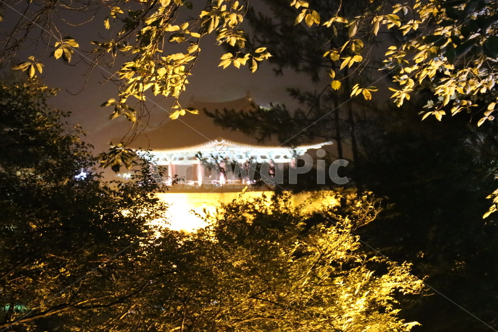 Anapji,Gyeongju Anapji,Night Anapji,Gyeongju,Gyeongju Tour