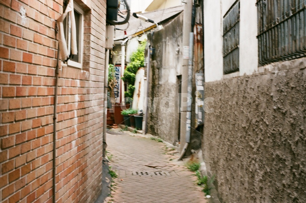 골목,골목길,사잇길,동네,주택,주택가,대구,daegu,골목길,alley,walkway,보도,path,통로,street,거리,building,건물,town,도시,road,도로,city,시티,urban,어반,flagstone,판석,brick,벽돌