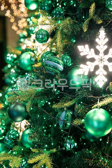 pine tree,seasonal,part,winter,holiday,christmasdecorations,decor,design,season,december,decoration,green,festival,festive,accessories,tree,christmas,celebration,light,background,Christmas decorations,stuff