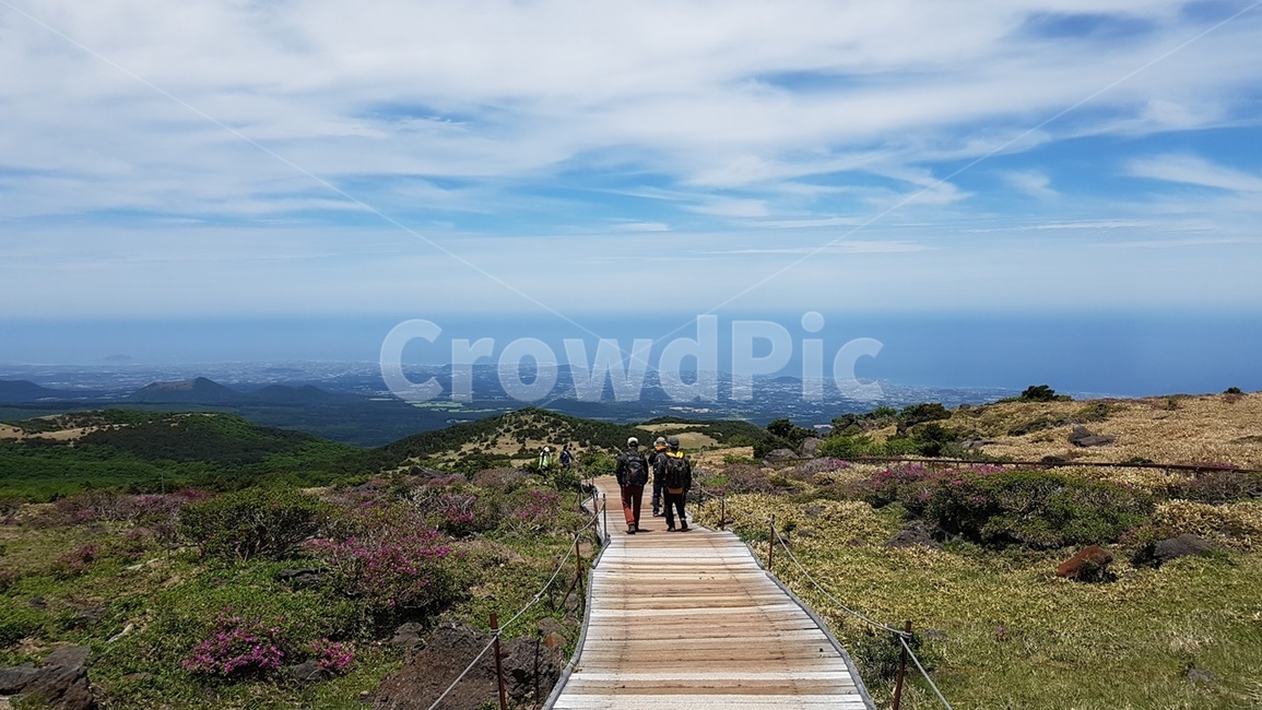 제주도,한라산,어리목코스,오름군락,나무데크길,에월해안,진달래능선
