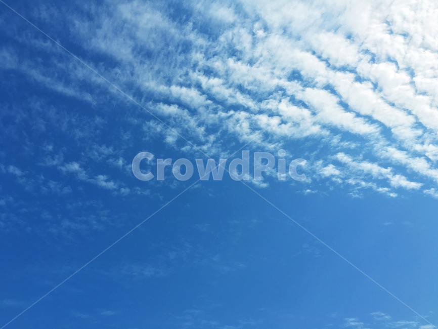 하늘,구름,가을,sky,cloud,blue,파랑,파랑색,흰구름,nature,자연,옥외,푸른하늘
