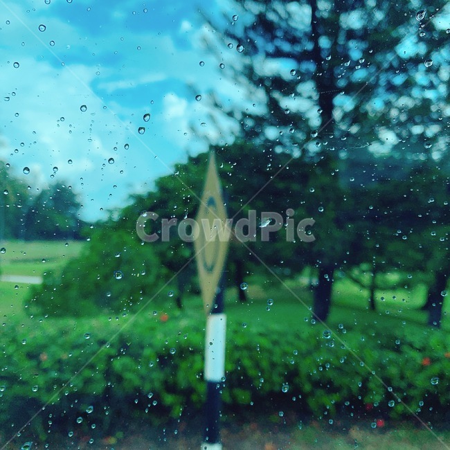 표지판,비,자연,green,nature,비,비오는날,rain,rainy