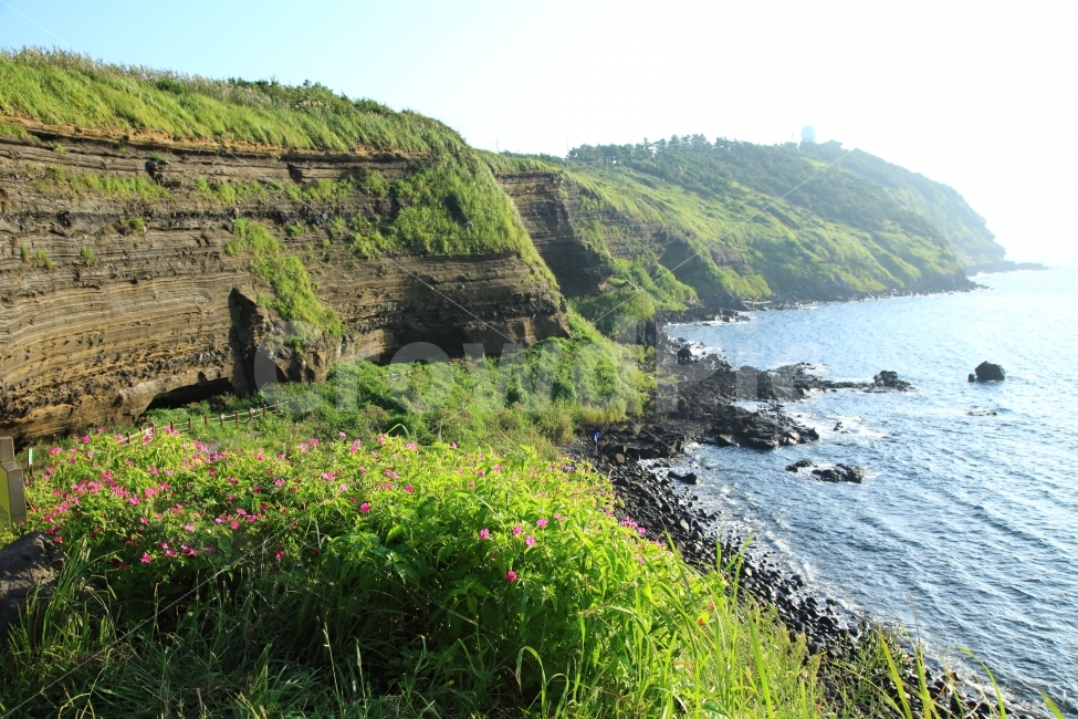 제주,제주지질공원,차귀도,붓꽃,수월봉,바닷가,해안,자연,풍경,자연,풍경,nature,landscape,한국자연풍경,한국자연경관,korea nature landscape,제주도,jeju,jeju island,cliff,낭떠러지,outdoors,옥외,promontory,곶