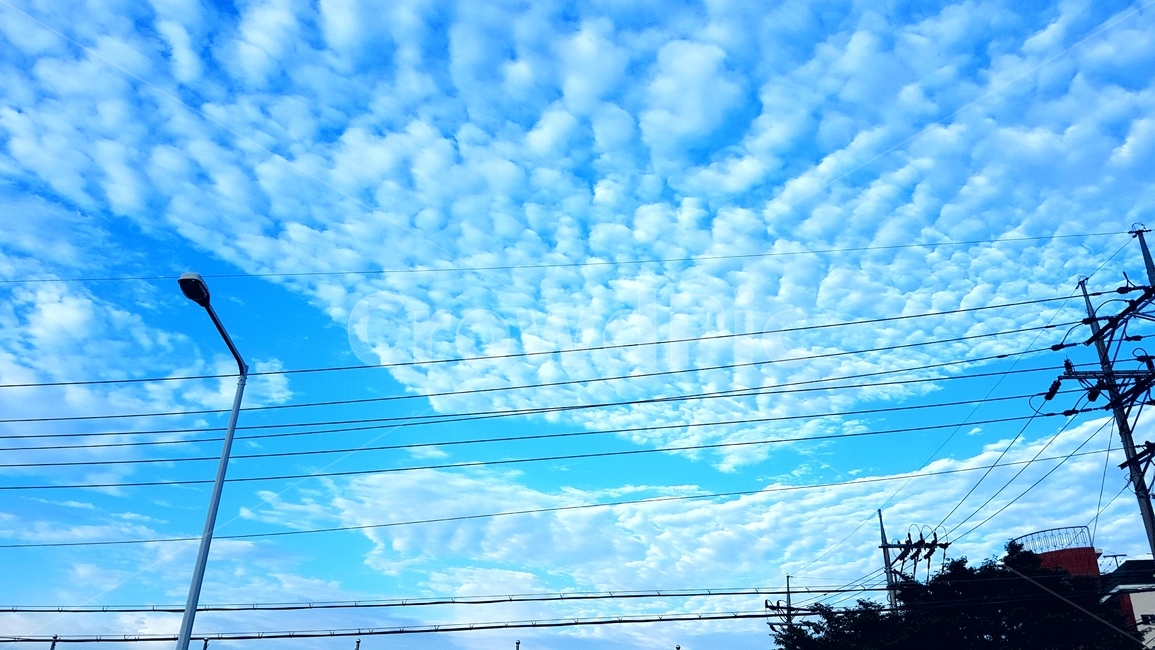 하늘,구름,양떼구름,sky,cloud