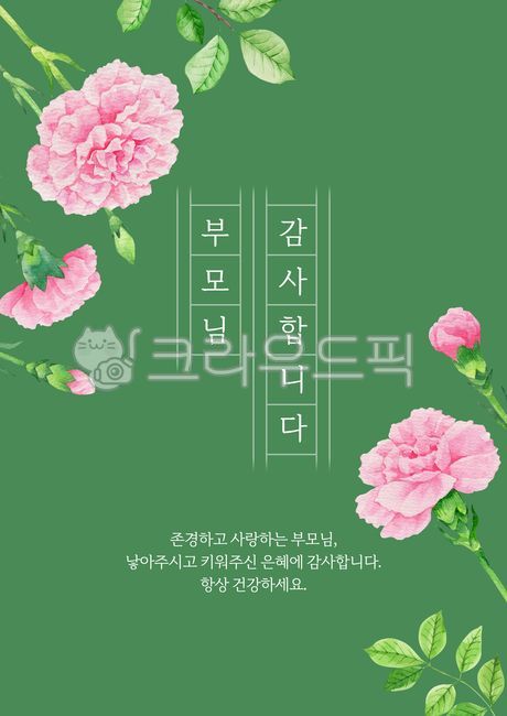 템플릿,이벤트,인사말,인사,포스터,팝업,배너,카드,배경,백그라운드,일러스트,수채화,수작업,그림,카네이션,꽃,식물,어버이날,감사,원고지,분홍색,분홍,핑크,illustration,watercolor,hand,drawn,painting,carnation,flower,blossom,botanical,floral,parents,day,plant,stem,template,background,poster,pink,leaf