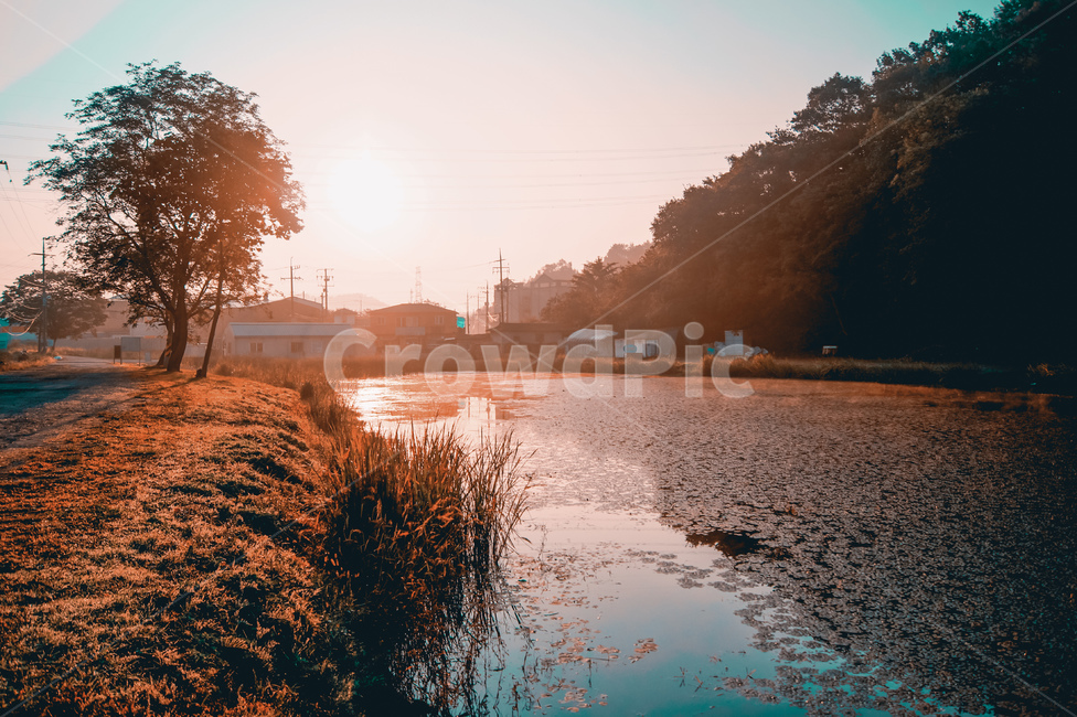 가을,자연,nature,나무,저수지,lake,trees,tree,flare,플레어,light,빛,brown,갈색,자연,풍경,nature,landscape
