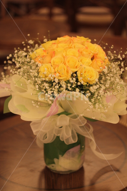 노란장미,노랑장미,장미꽃,노란장미꽃,yellowrose,장미꽃다발,노란장미꽃다발,안개꽃,꽃다발