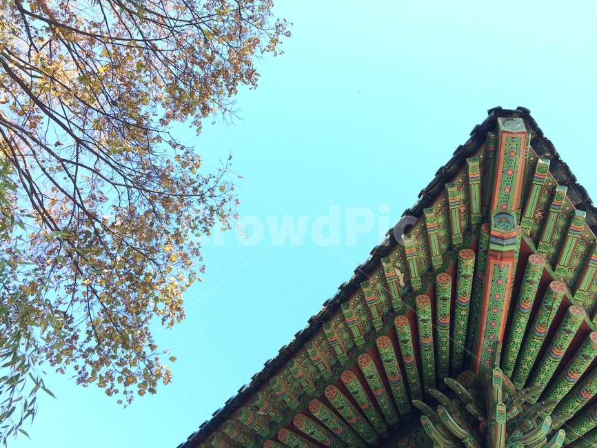 한국,처마,하늘,전통,경치,절,korea,한국전통,한국문화,korean traditional,korean culture,건축물,건물외관,exterior,building,structure,architecture,construction