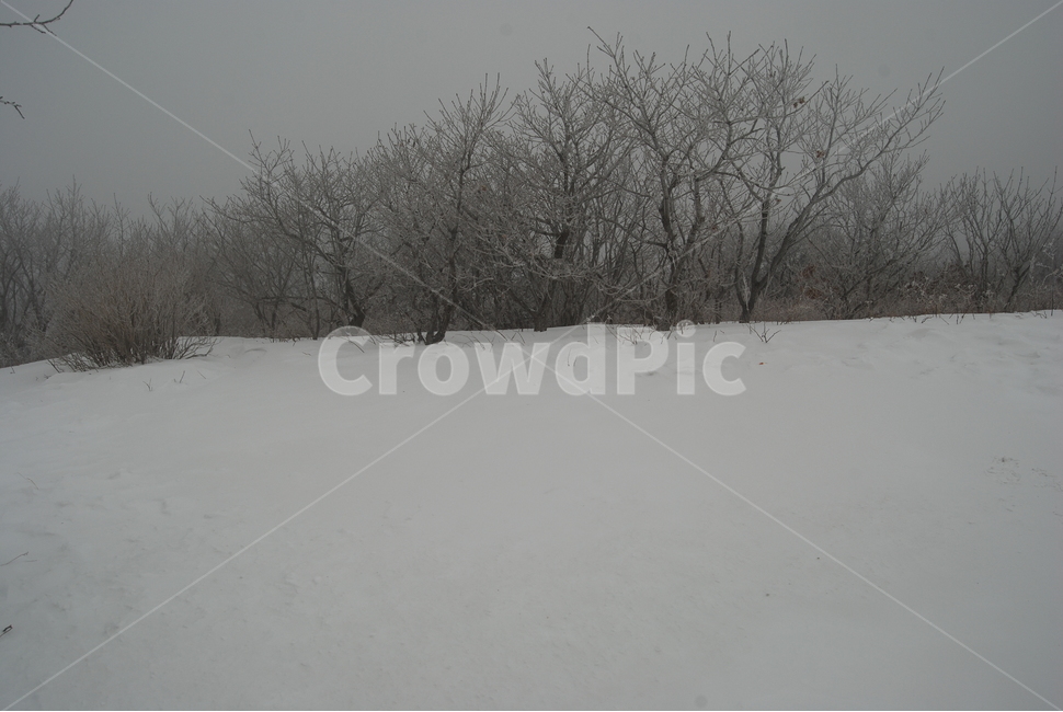 등산,계방산,힐링,자연,겨울,겨울산행,감성,풍경,계절,겨울이미지,겨울,계절,winter,season,자연,풍경,nature,landscape,한국자연풍경,한국자연경관,korea nature landscape,storm,폭풍,outdoors,옥외,snow,눈,blizzard,눈보라
